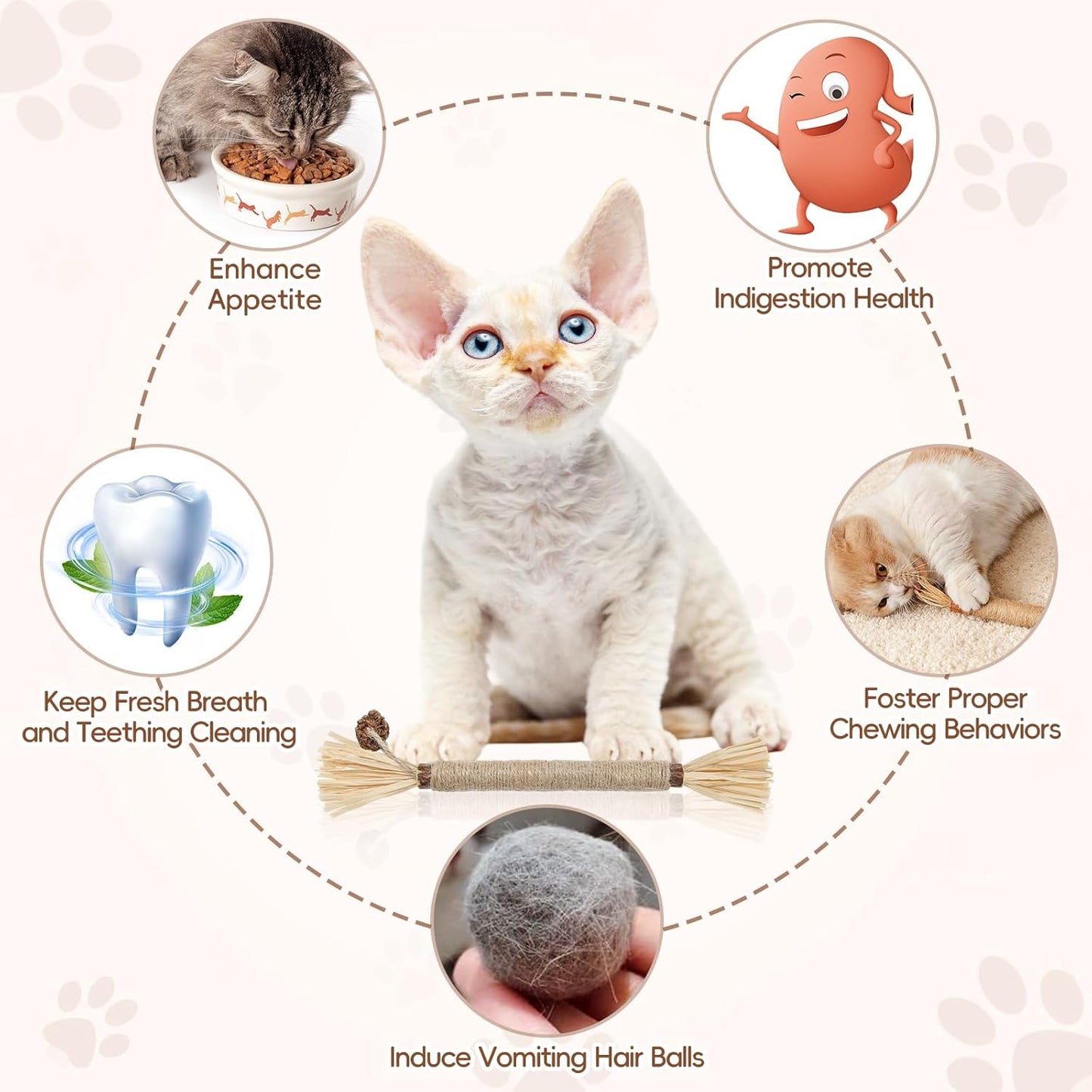 5 Pack Silvervine Sticks Cat Toys, Natural Chew Kitten Teething Toys for Cleaning, Matatabi Catnip Treat Toys, Catmint Silver Vine Sticks for Bored Indoor Kitty