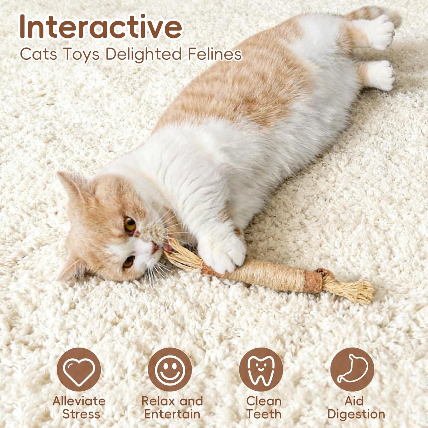 5 Pack Silvervine Sticks Cat Toys, Natural Chew Kitten Teething Toys for Cleaning, Matatabi Catnip Treat Toys, Catmint Silver Vine Sticks for Bored Indoor Kitty