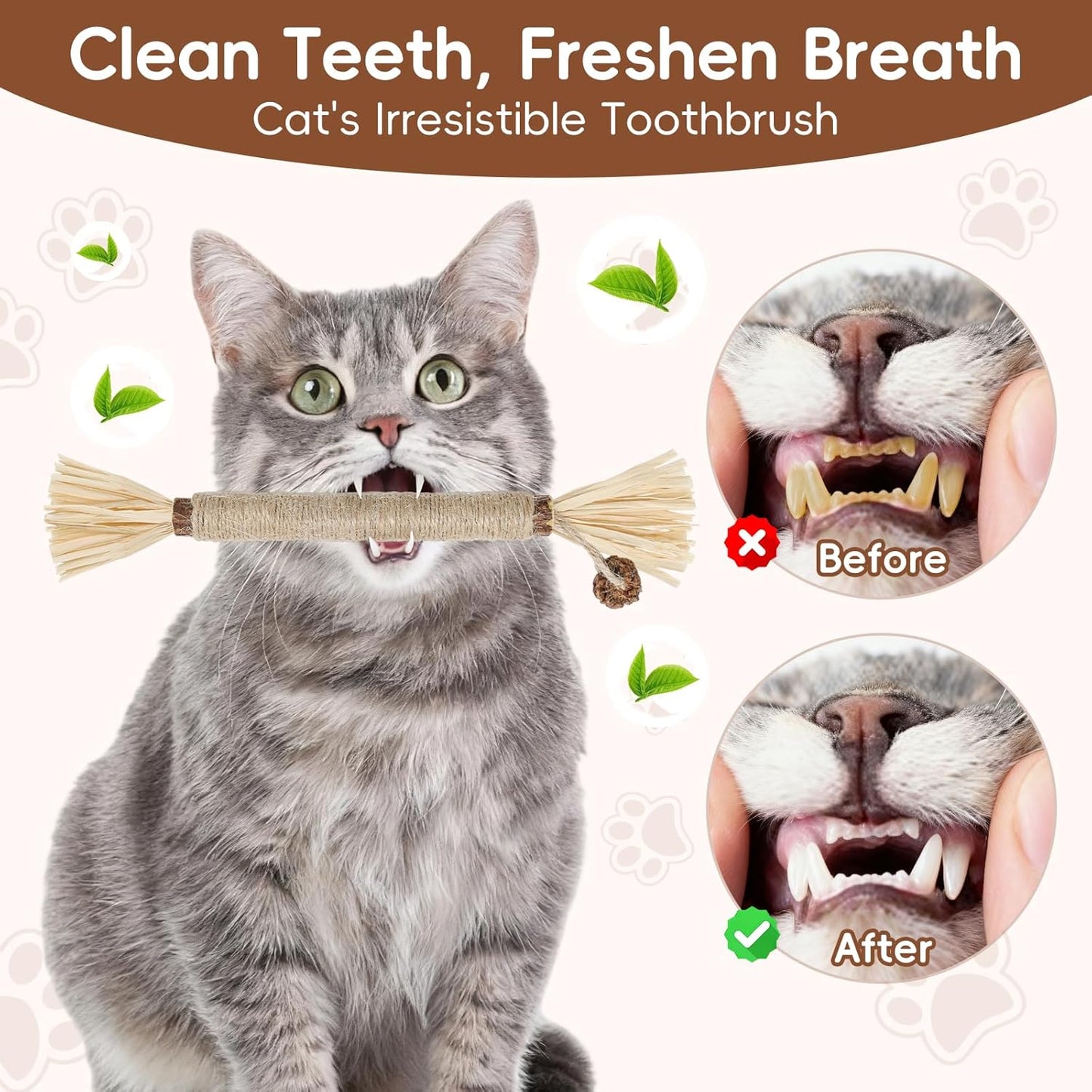 5 Pack Silvervine Sticks Cat Toys, Natural Chew Kitten Teething Toys for Cleaning, Matatabi Catnip Treat Toys, Catmint Silver Vine Sticks for Bored Indoor Kitty