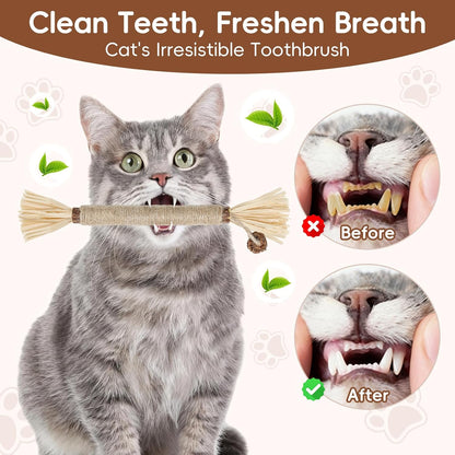 5 Pack Silvervine Sticks Cat Toys, Natural Chew Kitten Teething Toys for Cleaning, Matatabi Catnip Treat Toys, Catmint Silver Vine Sticks for Bored Indoor Kitty